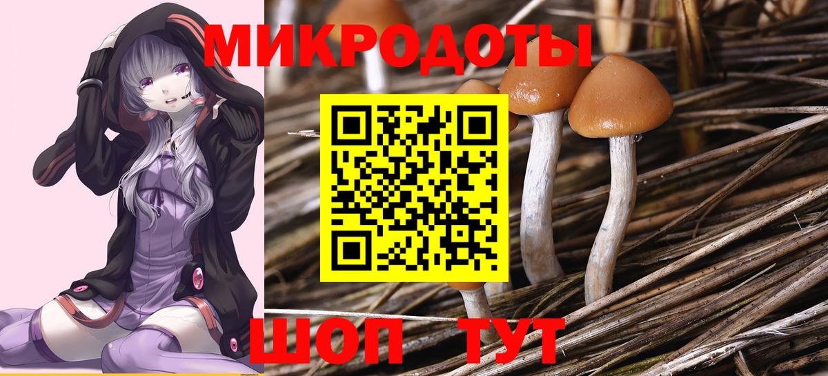 Магнитогорск  Галлюциногенные грибы мухоморы  Вход с VPN 