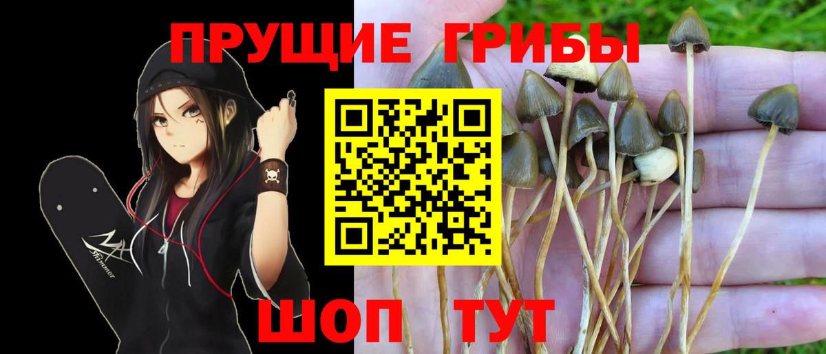 Галлюциногенные грибы Magic Shrooms Магнитогорск